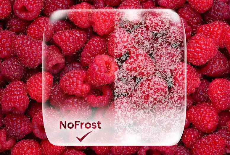 No Frost