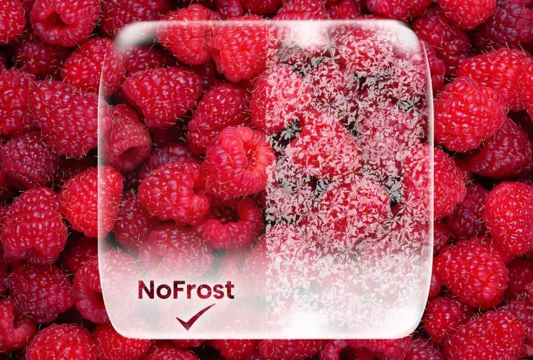 No Frost