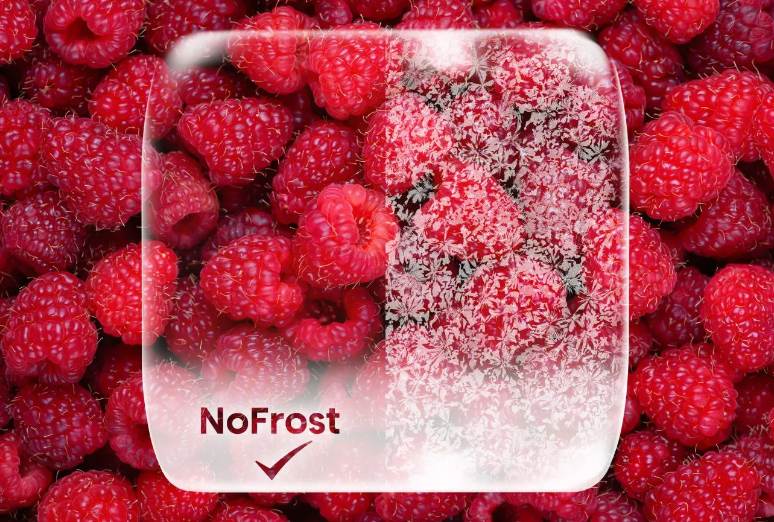 No Frost