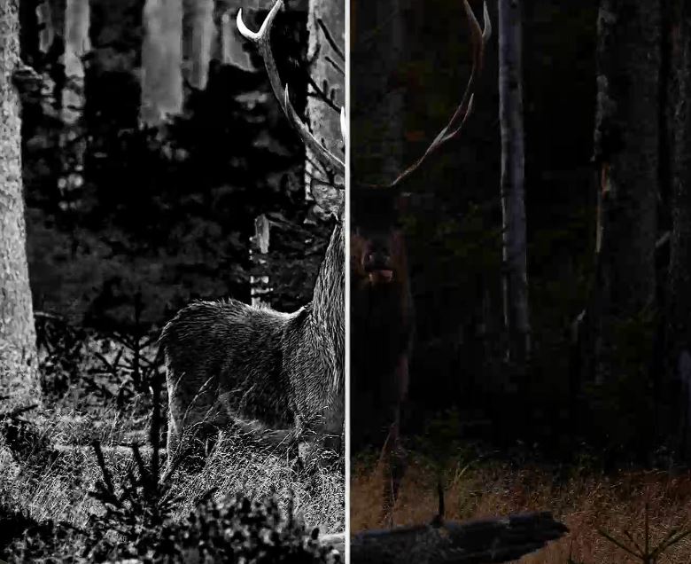 Nocna fotografia