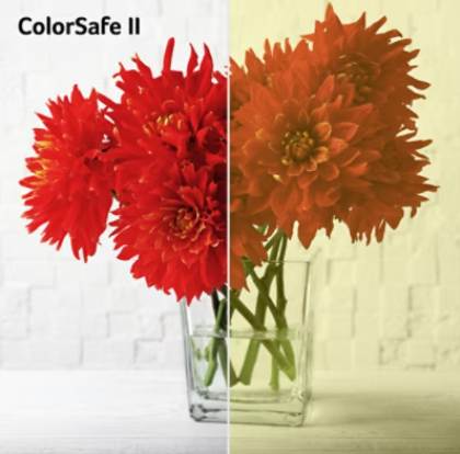 ColorSafe
