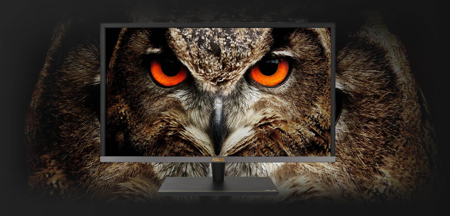 Regulowany monitor