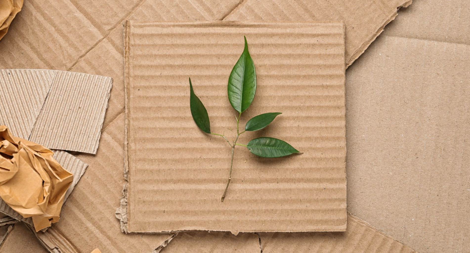Projekt Eco