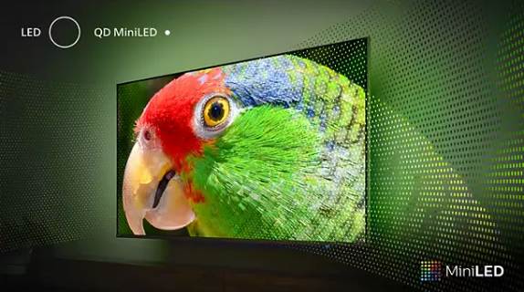 Quantum Dot