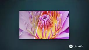 Pixel Precise Ultra HD