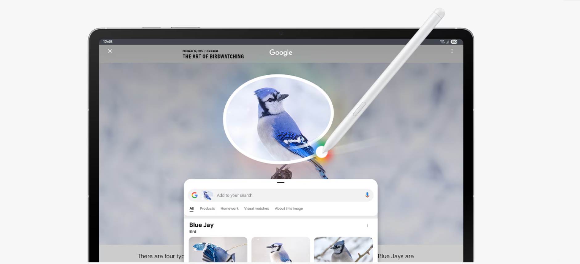 Wyszukiwanie w google rysikiem