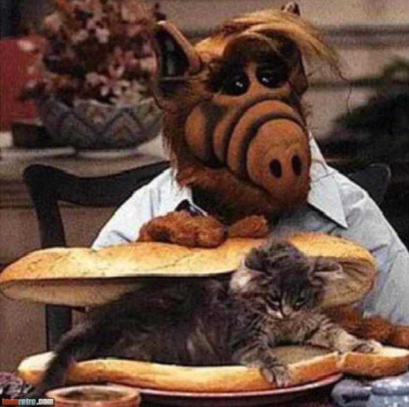 Alf kosmita
