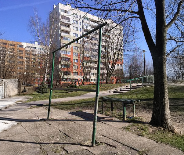 Popularność trzepaków