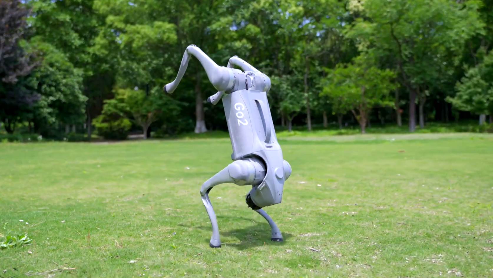 Unitree robot