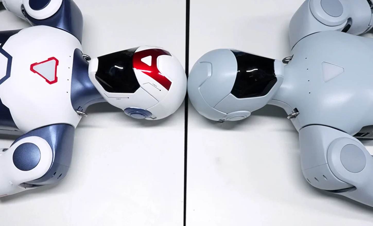Robot humonoidalny