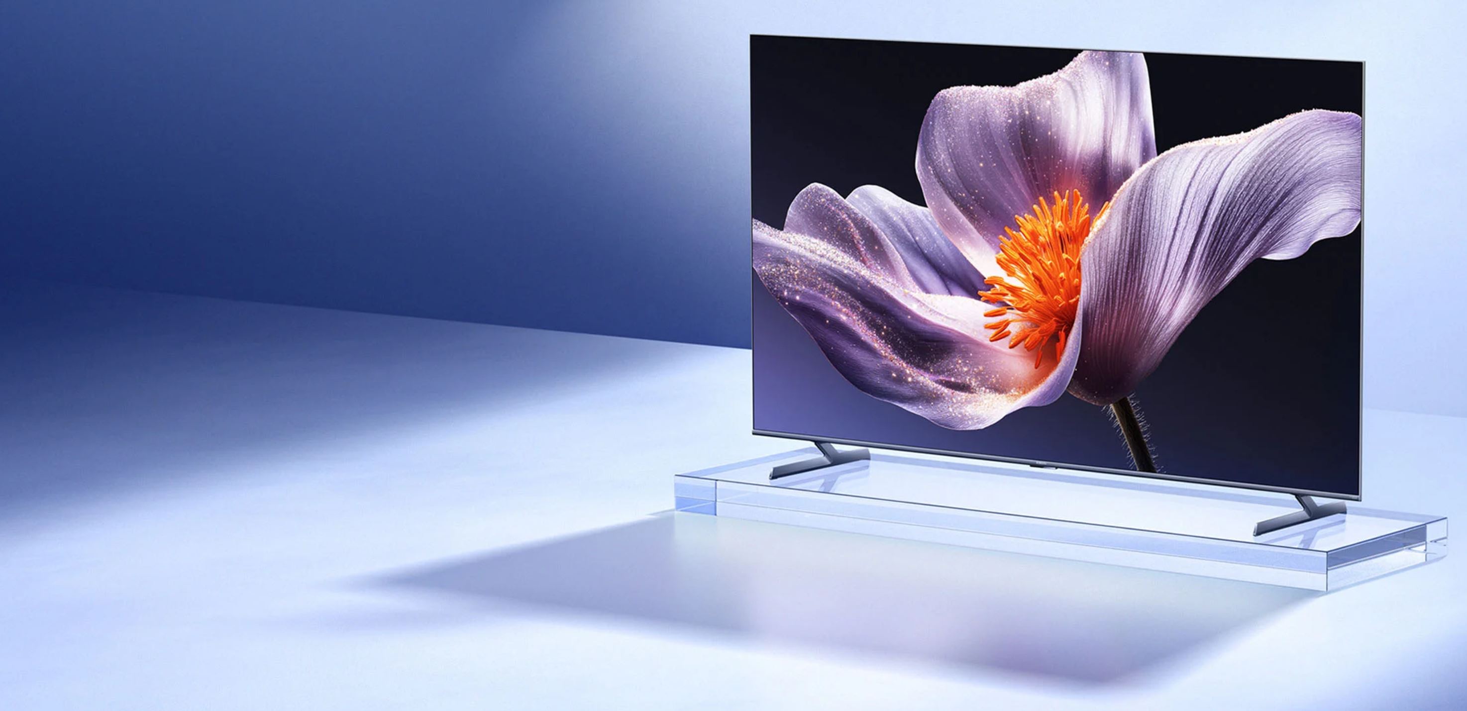 TV S Mini LED 55
